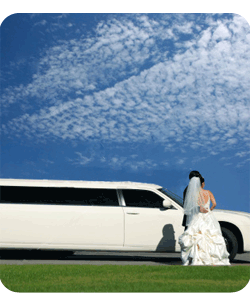 Casamentos - Weddings